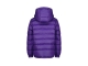 Raizzed jassen 863 Wisteria purple R224KBN10007
