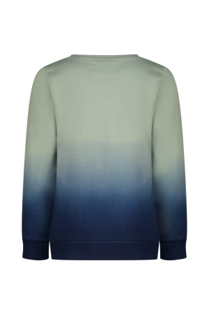 Raizzed truien & vesten 1444 Hedge green R224KBN34003