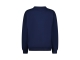 Raizzed truien & vesten 100 Dark Blue R224KBN34012