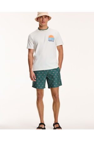 Shiwi zwemkleding 764 Cilantro Green 1441110222