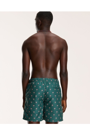 Shiwi zwemkleding 764 Cilantro Green 1441110222