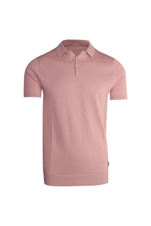 Saint Steve Polo