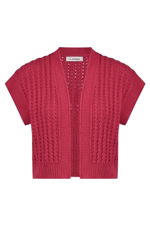 In Shape Gilet