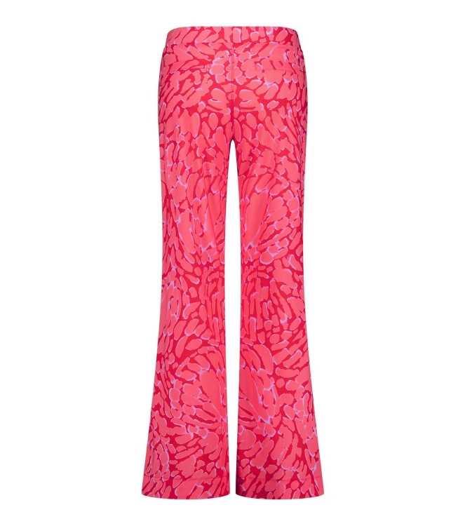 Broek