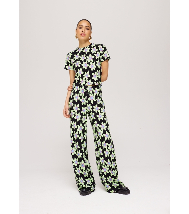 Broek