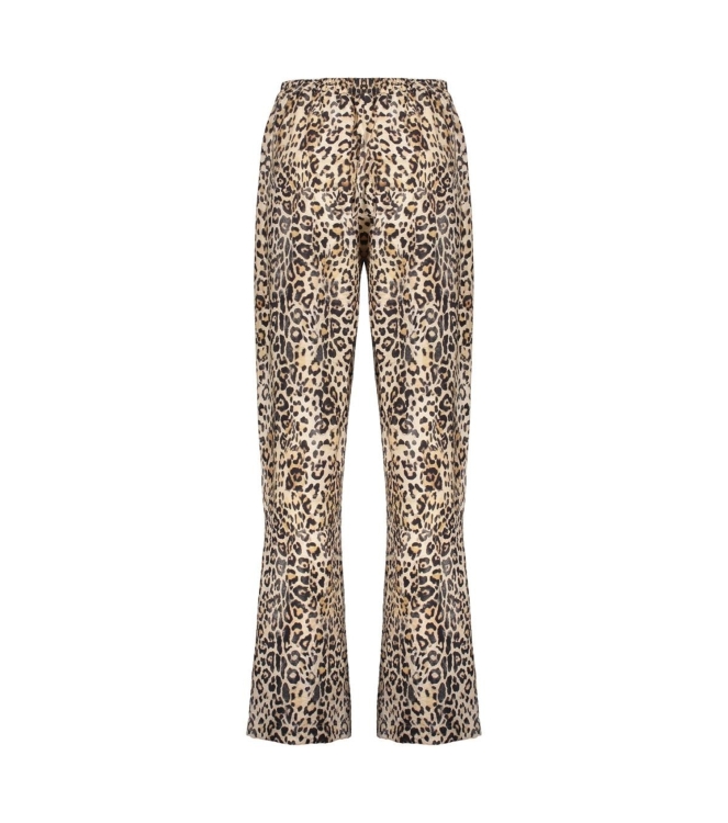Broek