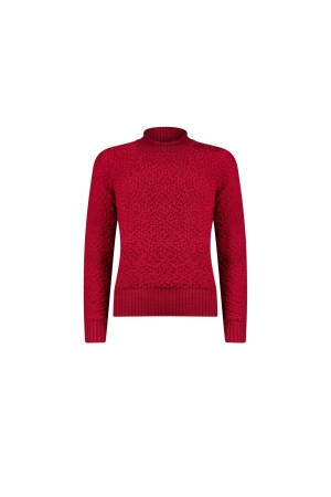 Sarto Fashion Pullover