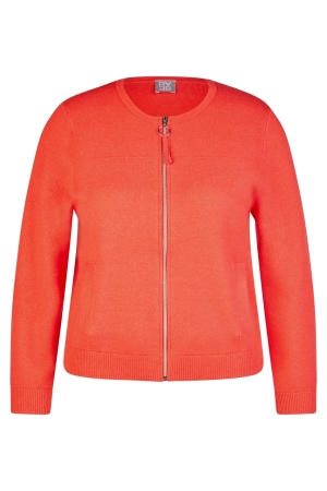 Rabe Vest