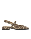 Schoen