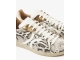 Schoen