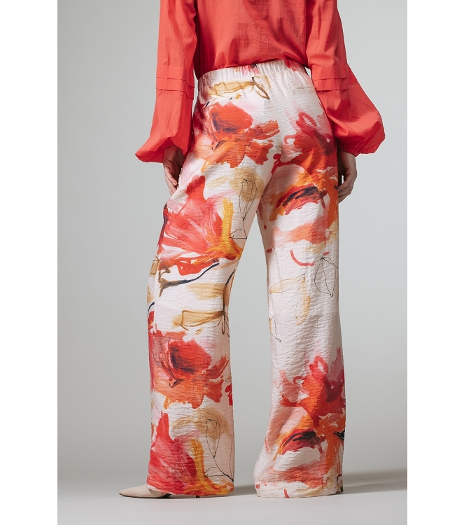 Broek