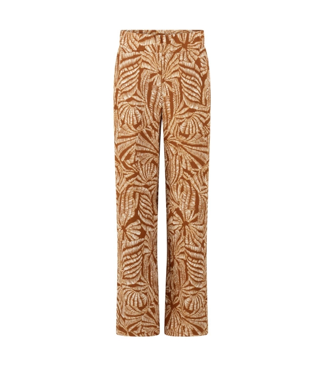 Broek