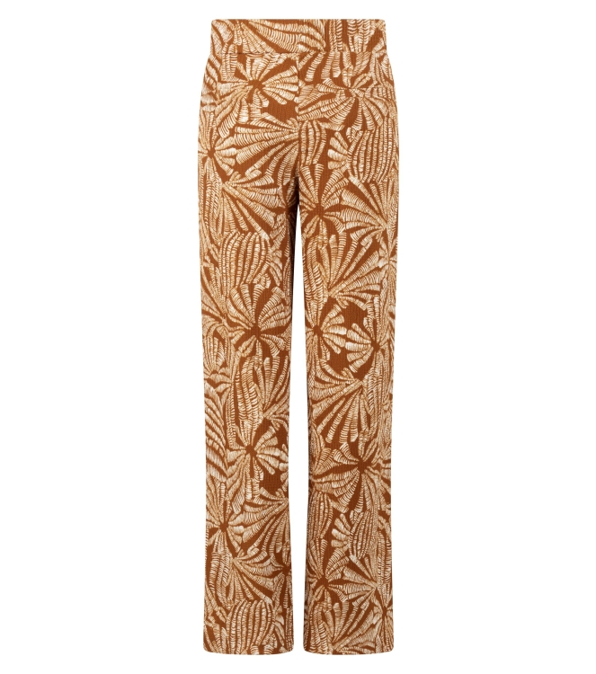 Broek