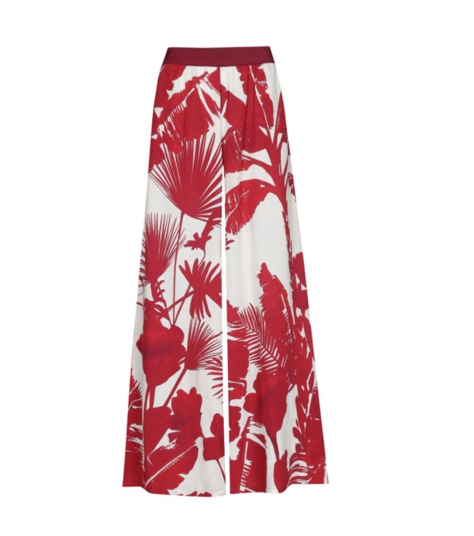 Broek