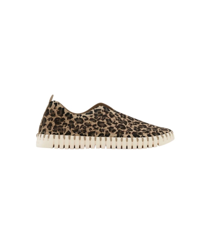 Schoen