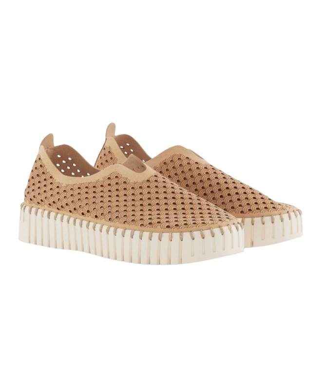 Schoen