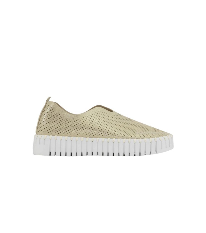 Schoen