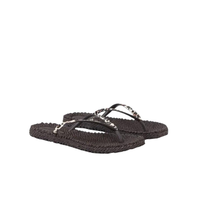 Schoen