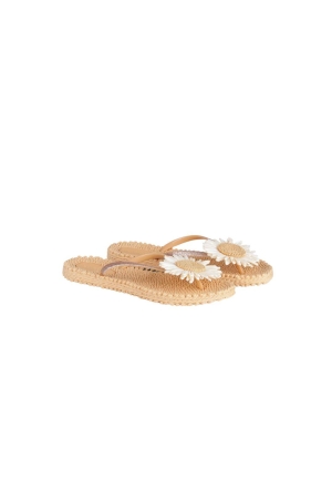 Ilse Jacobsen Slipper