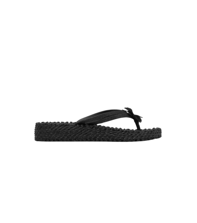 Schoen